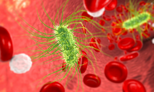 Teilrevision des Epidemiengesetzes