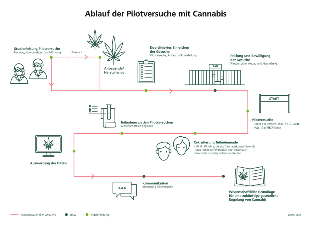 Ablauf der Pilotversuche mit Cannabis.  Koordiniertes Einreichen der Gesuche, Prüfung und Bewilligung der Gesuche durch BAG, Start Pilotversuche, Rekrutierung Teilnehmende, Durchführung Pilotversuche, Auswertung der Daten und Kommunikation. Die Pilotversuche bilden die wissenschaftliche Grundlage für eine zukünftige gesetzliche Regelung mit Cannabis.