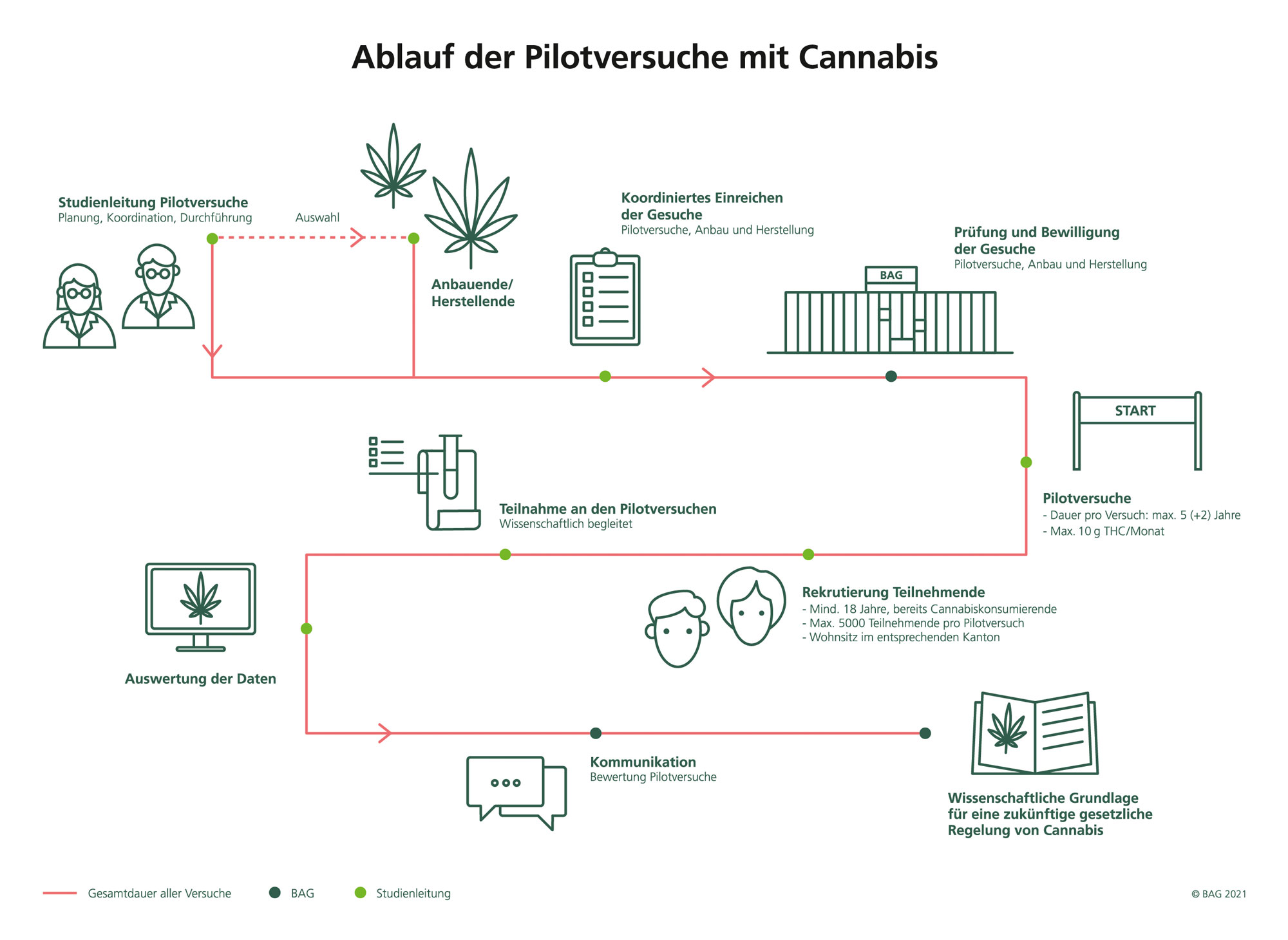 Ablauf der Pilotversuche mit Cannabis.  Koordiniertes Einreichen der Gesuche, Prüfung und Bewilligung der Gesuche durch BAG, Start Pilotversuche, Rekrutierung Teilnehmende, Durchführung Pilotversuche, Auswertung der Daten und Kommunikation. Die Pilotversuche bilden die wissenschaftliche Grundlage für eine zukünftige gesetzliche Regelung mit Cannabis.