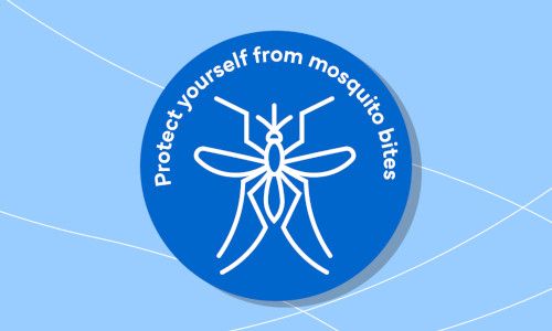 Travel and mosquitoes: how to protect yourself from illness