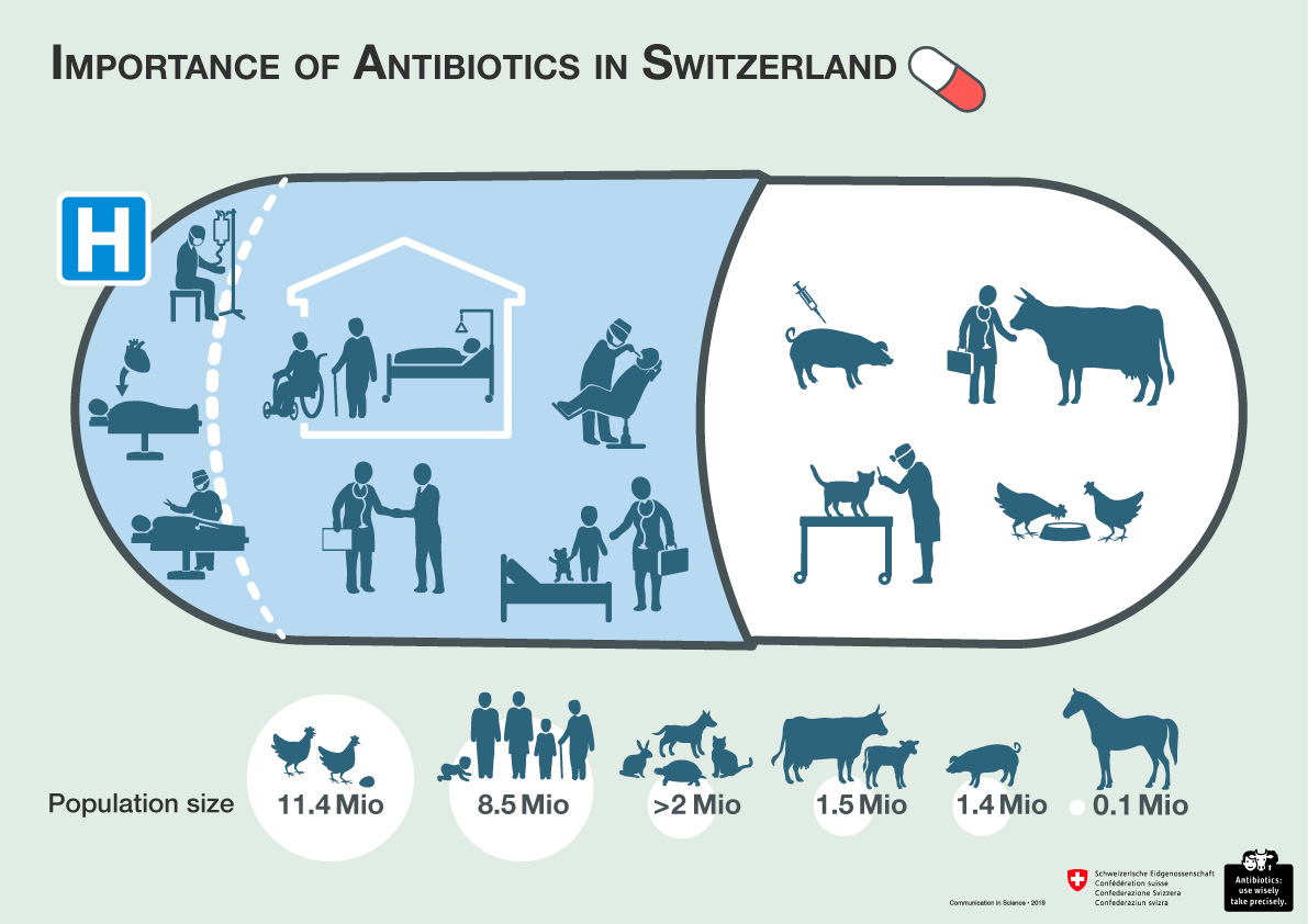 consummation-importance-of-antibiotics-in-switherland-de-fr-it-en