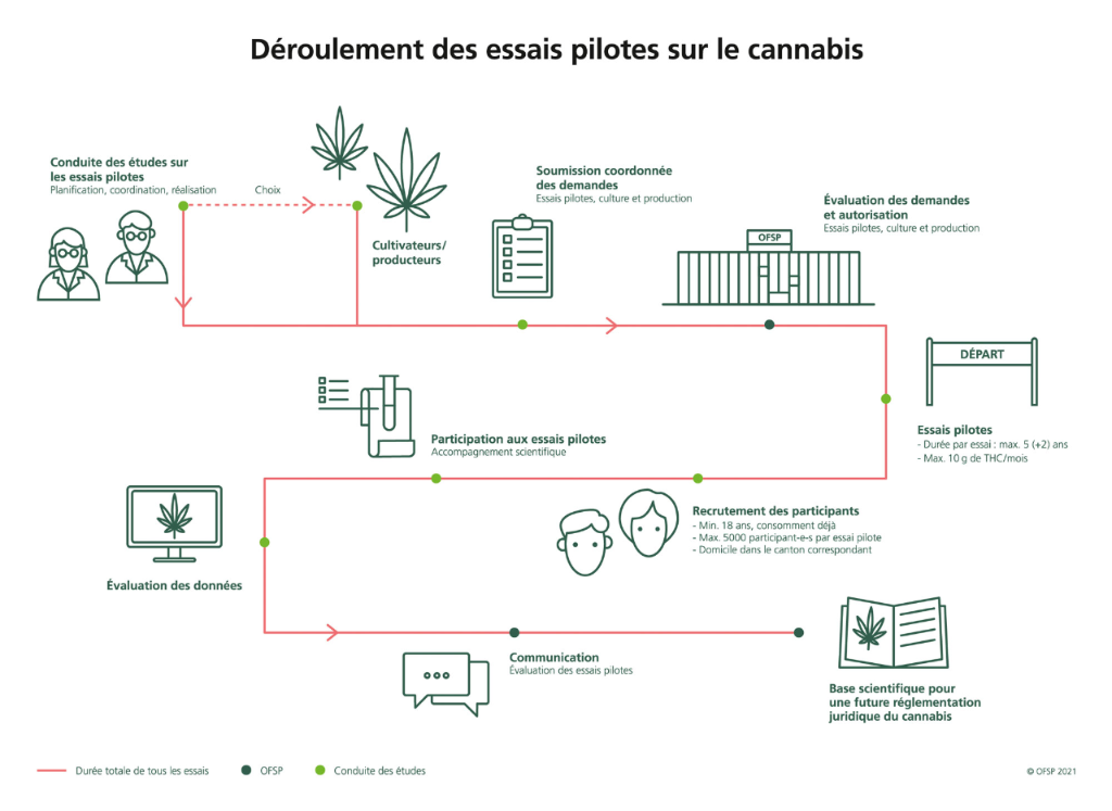 Déroulement des essais pilotes sur le cannabis. Soumission coordonnée des demandes, évaluation des demandes at autorisation, départ essais pilotes, recrutement des participants, participation aux essais pilotes, évaluation des données et communication. Les essais pilotes sont la base scientifique pour une future réglementation juridique du cannabis.