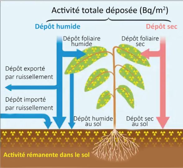 Tch_deposition_fr