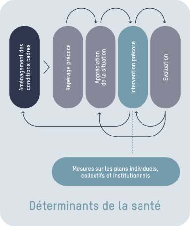 Graphique illustrant la démarche IP