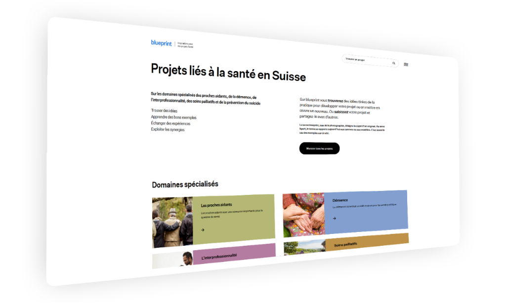 Screenshot bag-blueprint.ch: Gesundheitsprojekte finden und teilen 