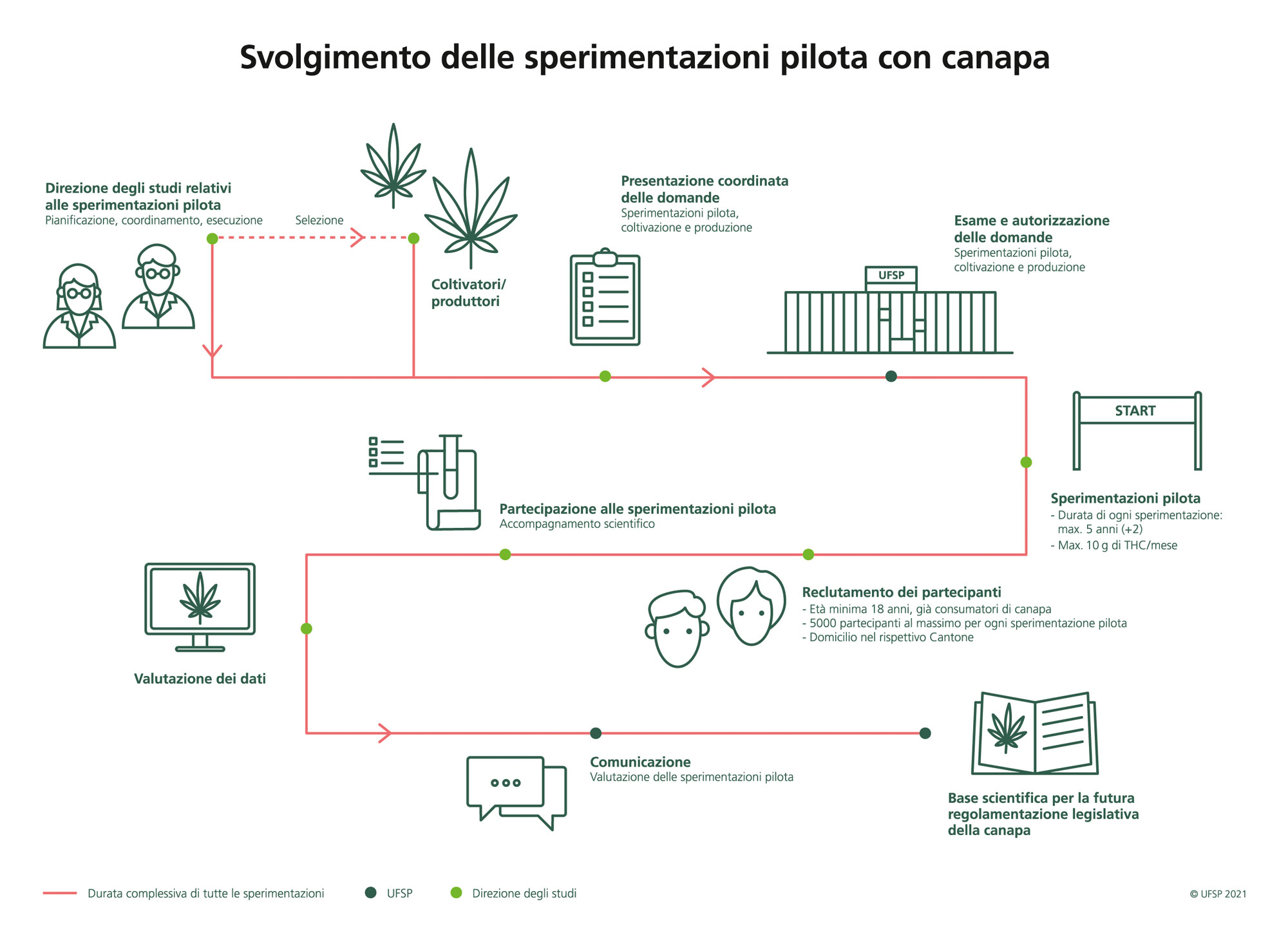 Svolgimento delle sperimentazioni pilota con canapa. Presentazione coordinata delle domande, esame e autorizzazione delle domande, comincia sperimentazioni pilota, reclutamento dei partecipanti, partecipazione alle sperimentazioni, valutazione dei dati et comunicazione. Le sperimentazioni pilota sono la base scientifica per la futura regolamentazione legislativa della canapa. 