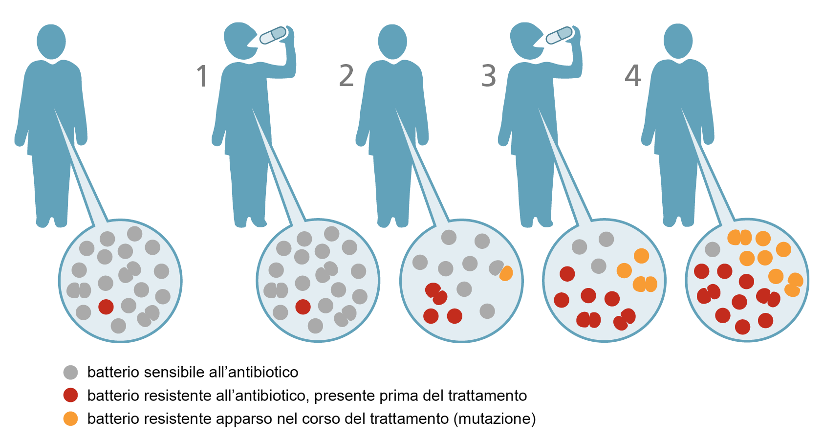 Risultati immagini per antibiotici resistenza