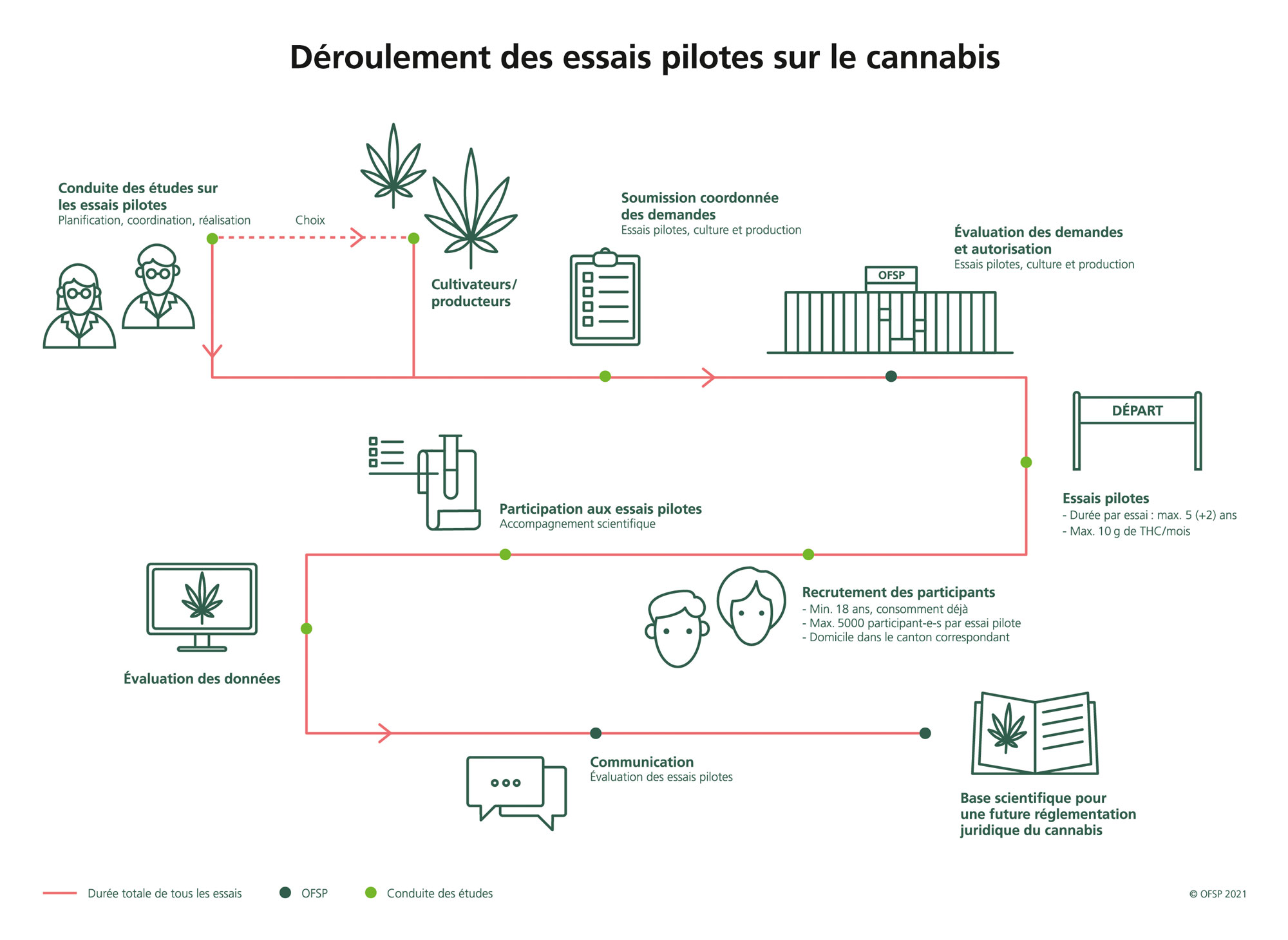 Fumer du CBD : effets, légal, test, peut-on conduire après ?